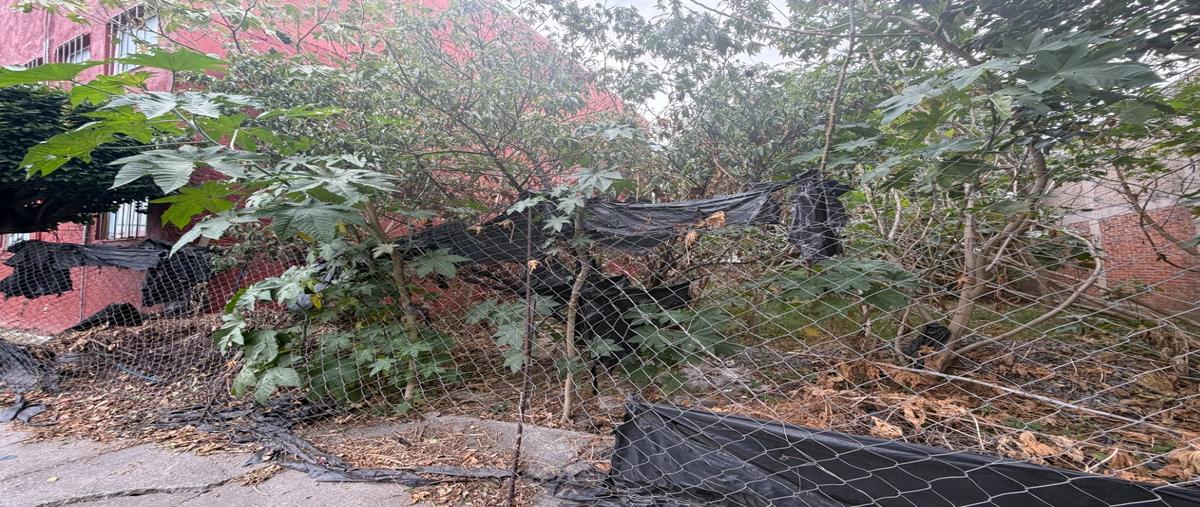 Foto de terreno habitacional en renta en  , rivera de echegaray, naucalpan de juárez, méxico, 0 No. 03