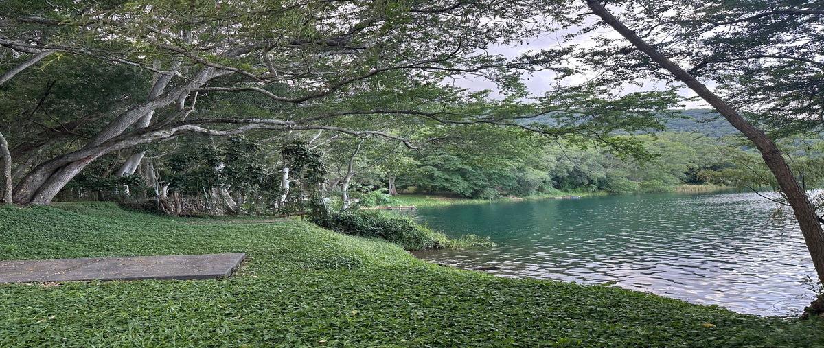 Foto de terreno habitacional en venta en rivera del lago , la laguna, santa maría del oro, nayarit, 29741494 No. 03