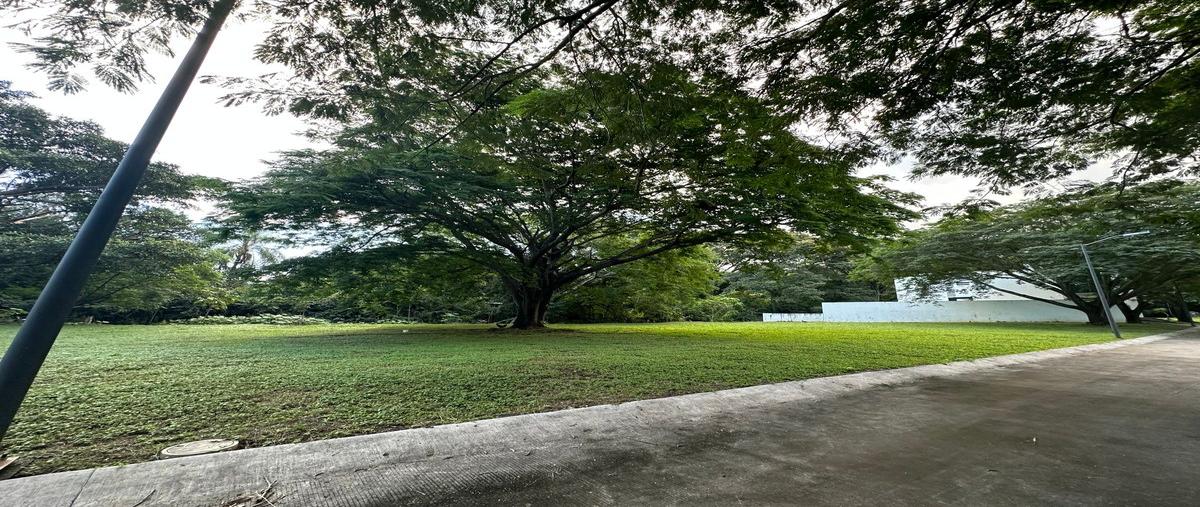 Foto de terreno habitacional en venta en rivera del lago , la laguna, santa maría del oro, nayarit, 29741494 No. 05