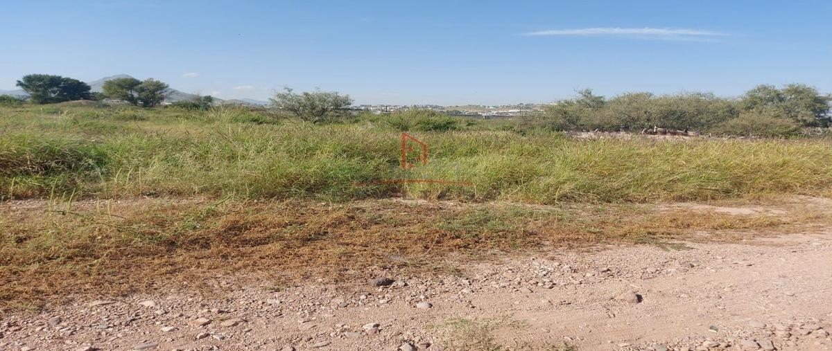 Foto de terreno habitacional en venta en  , robinson, chihuahua, chihuahua, 25537919 No. 04