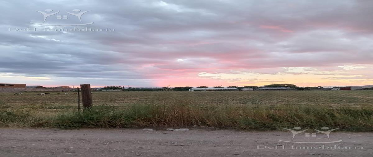 Foto de terreno habitacional en venta en  , robinson, chihuahua, chihuahua, 0 No. 04