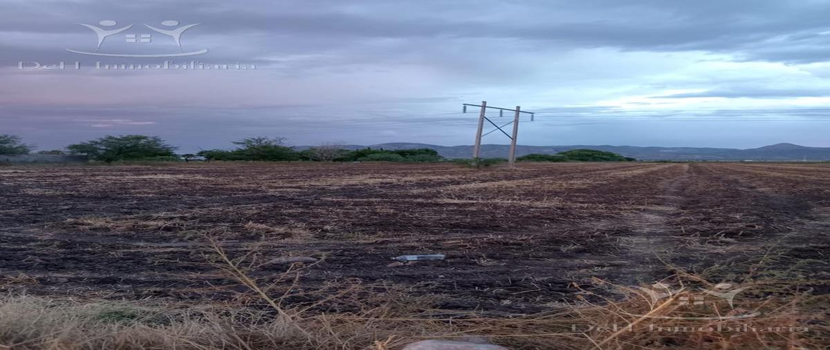 Foto de terreno habitacional en venta en  , robinson, chihuahua, chihuahua, 0 No. 05