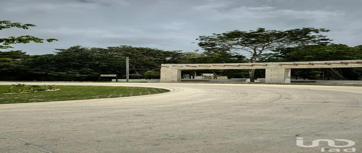 Foto de terreno habitacional en venta en roble 120, residencial monte verde, benito juárez, quintana roo, 30237991 No. 04