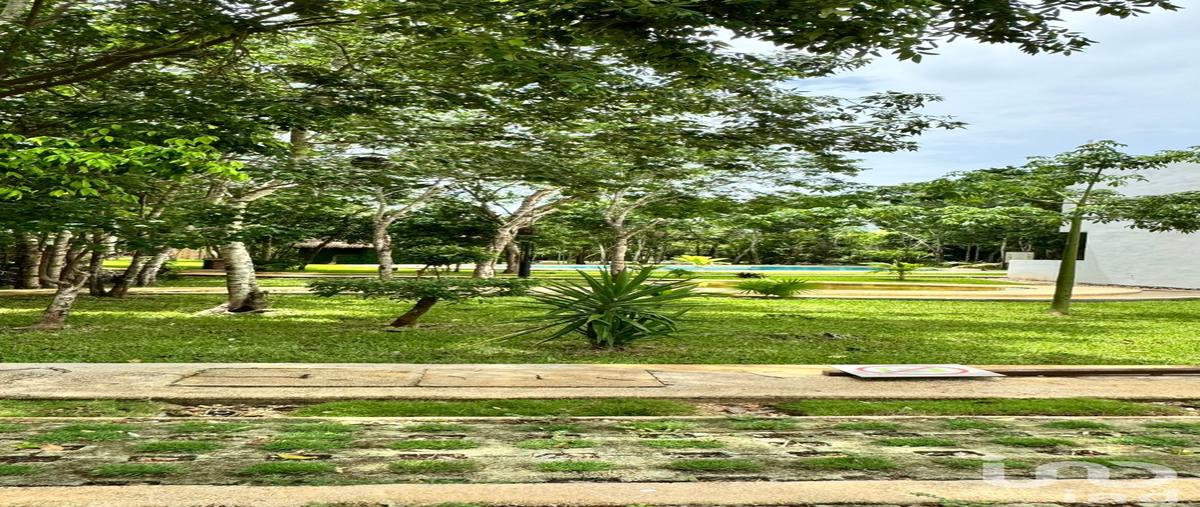 Foto de terreno habitacional en venta en roble 57, residencial monte verde, benito juárez, quintana roo, 30237991 No. 05
