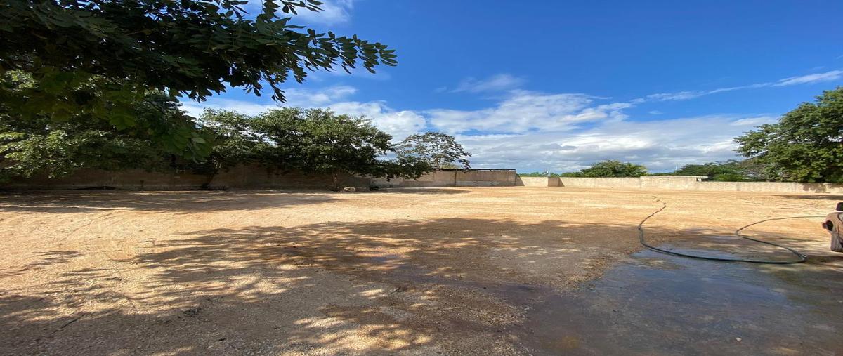 Foto de terreno habitacional en renta en  , roble agrícola iii, mérida, yucatán, 0 No. 03