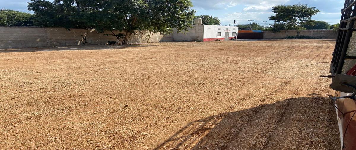 Foto de terreno habitacional en renta en  , roble agrícola iii, mérida, yucatán, 0 No. 05