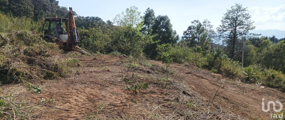 Foto de terreno habitacional en roble los madroños , los triguillos, charo, michoacán de ocampo, 30668223 foto 01 Foto de terreno habitacional en venta en roble los madroños , los triguillos, charo, michoacán de ocampo, 30668223 No. 01