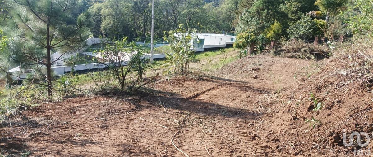Foto de terreno habitacional en roble los madroños , los triguillos, charo, michoacán de ocampo, 30668223 foto 02 Foto de terreno habitacional en venta en roble los madroños , los triguillos, charo, michoacán de ocampo, 30668223 No. 02