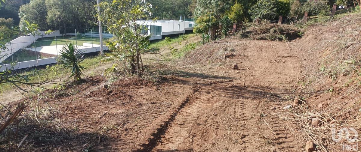 Foto de terreno habitacional en roble los madroños , los triguillos, charo, michoacán de ocampo, 30668223 foto 04 Foto de terreno habitacional en venta en roble los madroños , los triguillos, charo, michoacán de ocampo, 30668223 No. 04