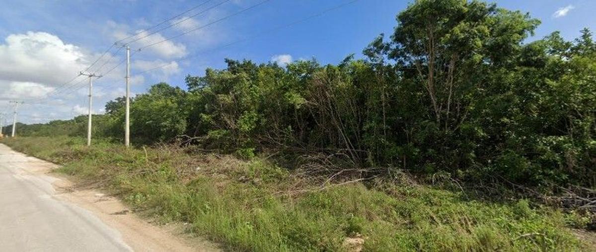 Foto de terreno habitacional en venta en roble , supermanzana 325, benito juárez, quintana roo, 31083358 No. 05