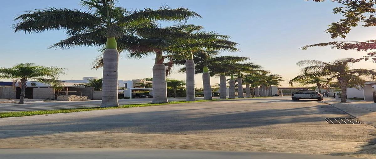 Foto de terreno habitacional en venta en rocio country living , tamanché, mérida, yucatán, 0 No. 03