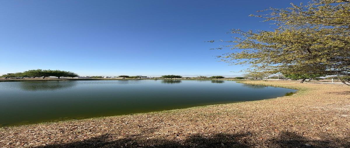 Foto de terreno habitacional en venta en rodeo calandria , las aves residencial and golf resort, pesquería, nuevo león, 0 No. 04
