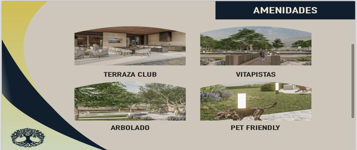 Foto de terreno habitacional en venta en rodríguez , los rodriguez, santiago, nuevo león, 0 No. 05