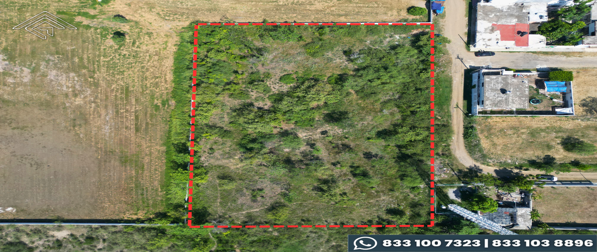 Foto de terreno comercial en venta en  , roger gómez, altamira, tamaulipas, 26972986 No. 04