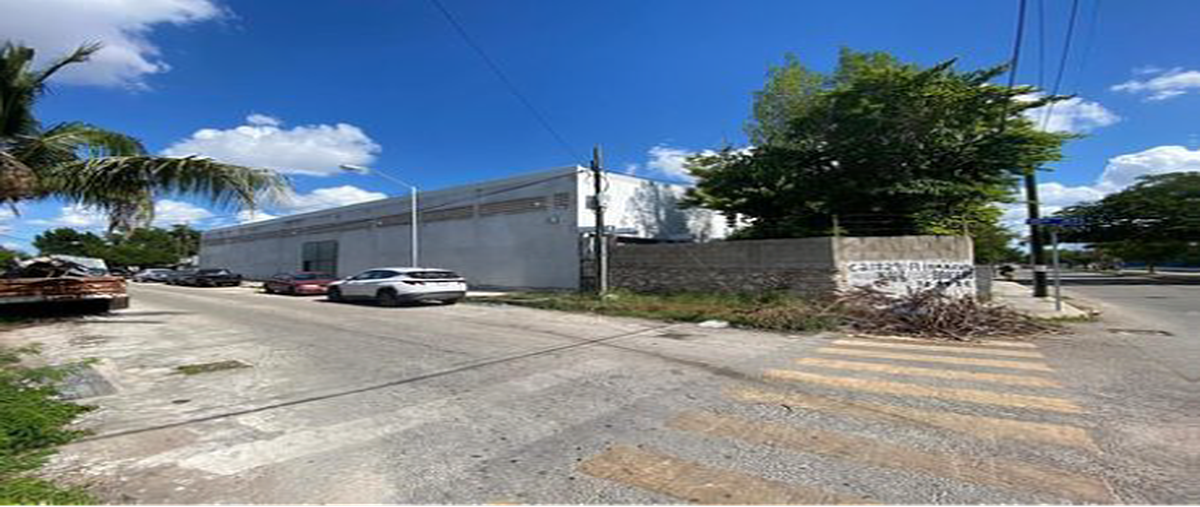 Foto de bodega en , roma, mérida, yucatán, 0 foto 03 Foto de bodega en renta en , roma, mérida, yucatán, 0 No. 03