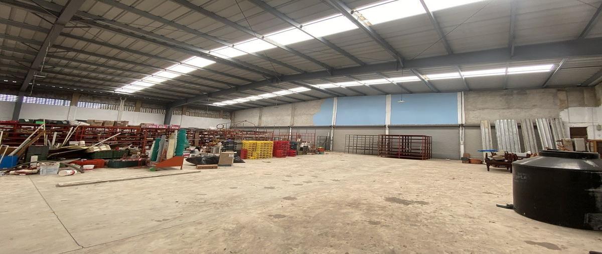 Foto de bodega en venta en  , roma, mérida, yucatán, 0 No. 05