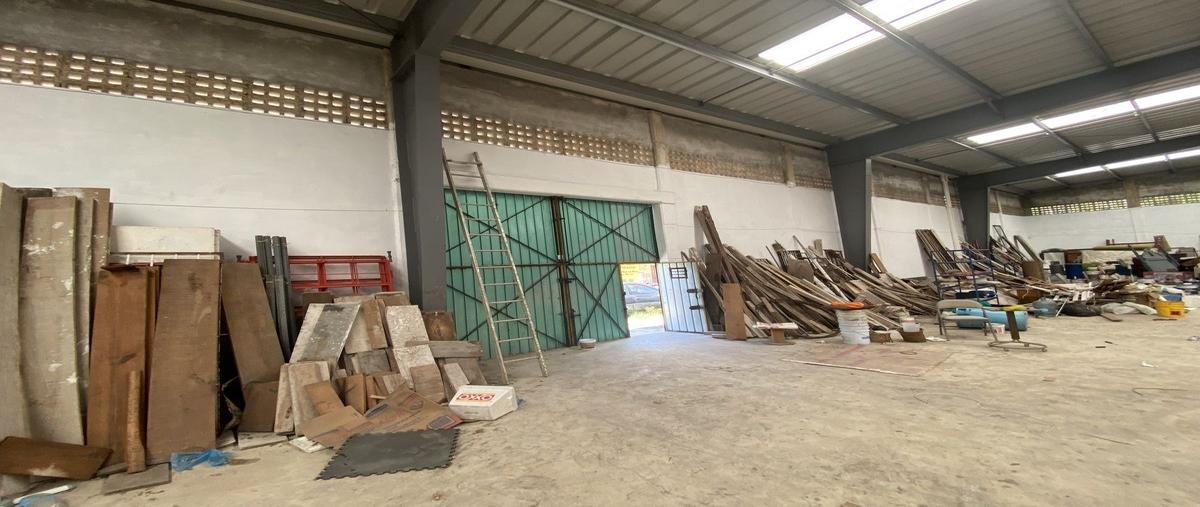 Foto de bodega en venta en  , roma, mérida, yucatán, 0 No. 05
