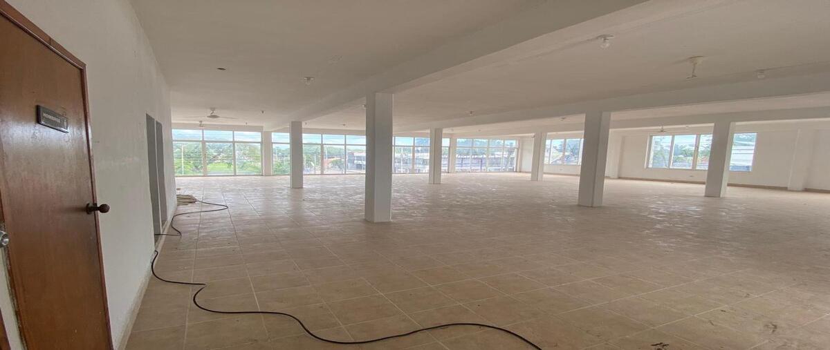 Foto de local en roma , roma, mérida, yucatán, 0 foto 03 Foto de local en renta en roma , roma, mérida, yucatán, 0 No. 03