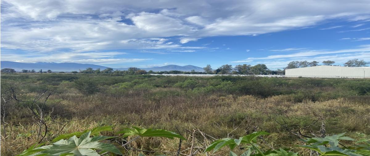 Foto de terreno habitacional en venta en  , romero de torres, zamora, michoacán de ocampo, 0 No. 03