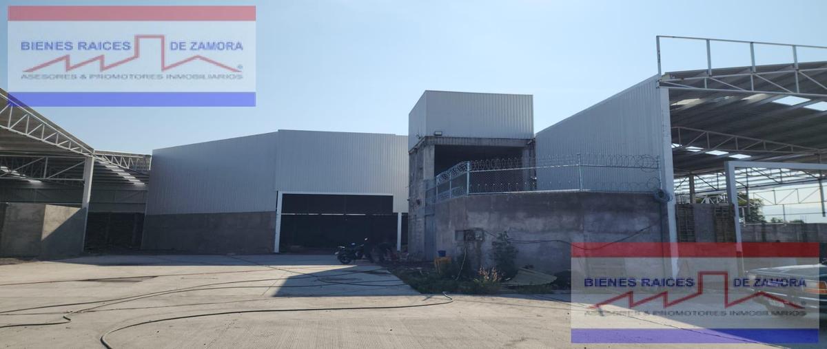 Foto de nave industrial en renta en  , romero de torres, zamora, michoacán de ocampo, 30573911 No. 03