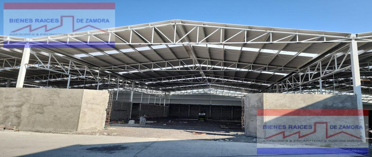 Foto de nave industrial en renta en  , romero de torres, zamora, michoacán de ocampo, 30573911 No. 05