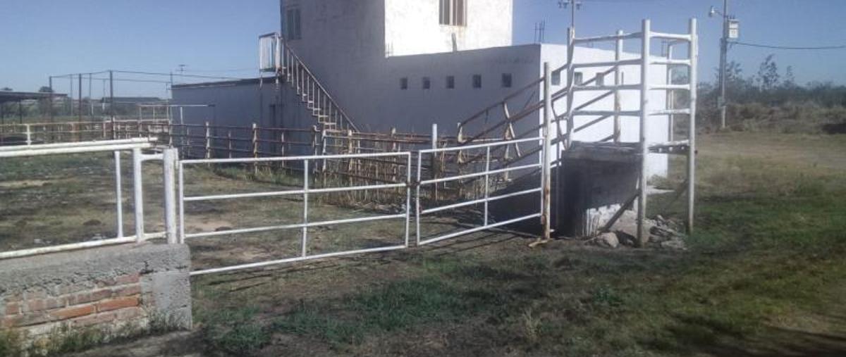 Foto de rancho en venta en rosa 1, bona gens, aguascalientes, aguascalientes, 16148428 No. 04