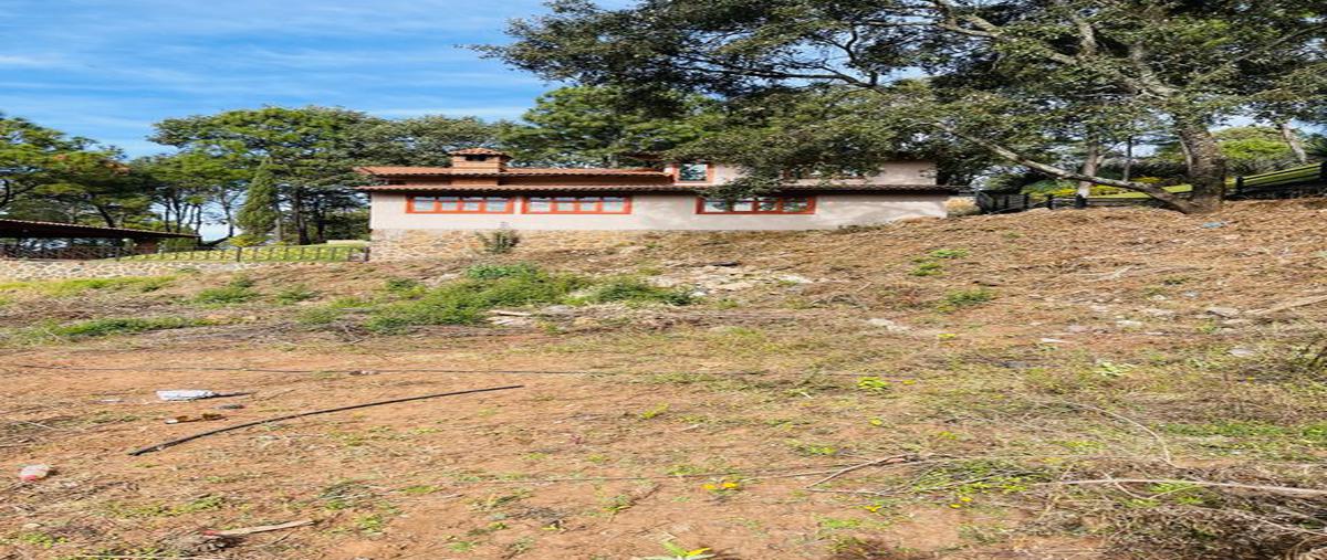 Foto de terreno habitacional en venta en rosa colorada , mazamitla, mazamitla, jalisco, 0 No. 03