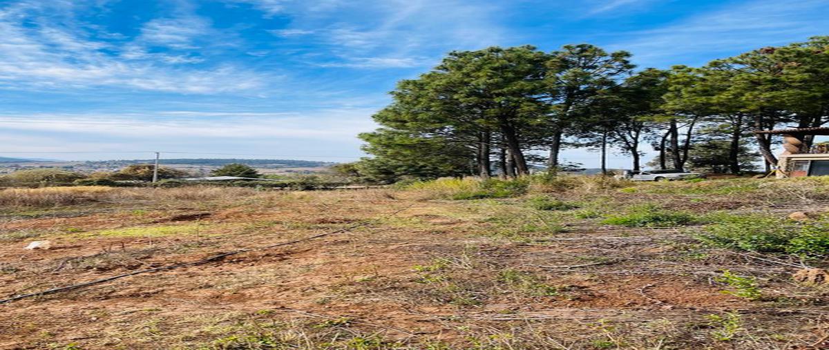 Foto de terreno habitacional en venta en rosa colorada , mazamitla, mazamitla, jalisco, 0 No. 04