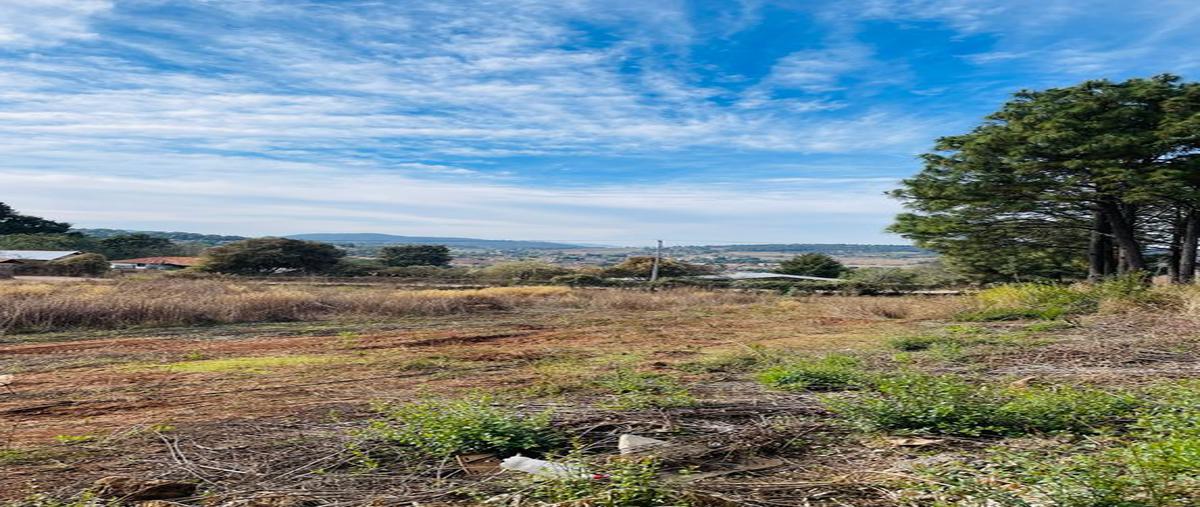 Foto de terreno habitacional en venta en rosa colorada , mazamitla, mazamitla, jalisco, 0 No. 05