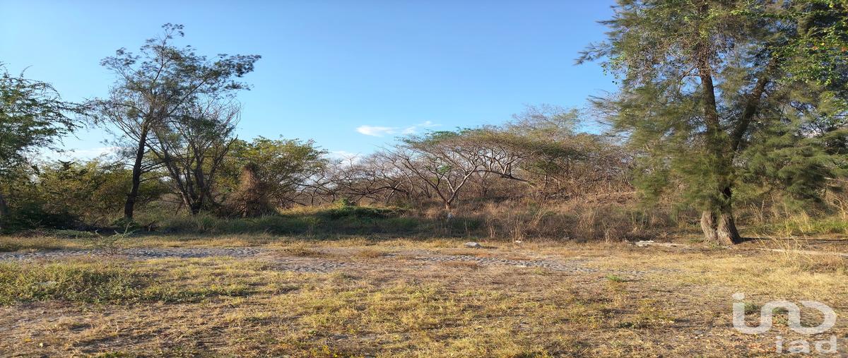 Foto de terreno habitacional en venta en rosa ramona ortega , campestre comala, comala, colima, 31038157 No. 03