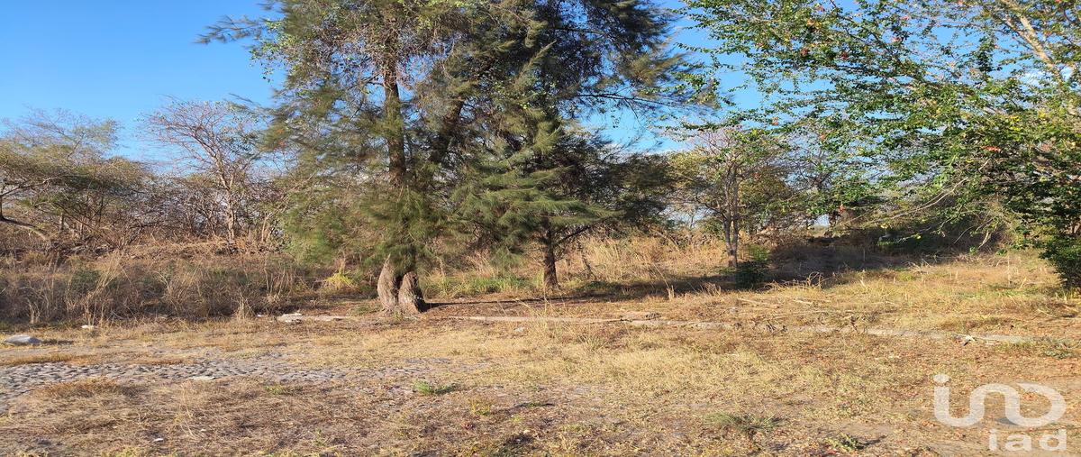Foto de terreno habitacional en venta en rosa ramona ortega , campestre comala, comala, colima, 31038157 No. 04