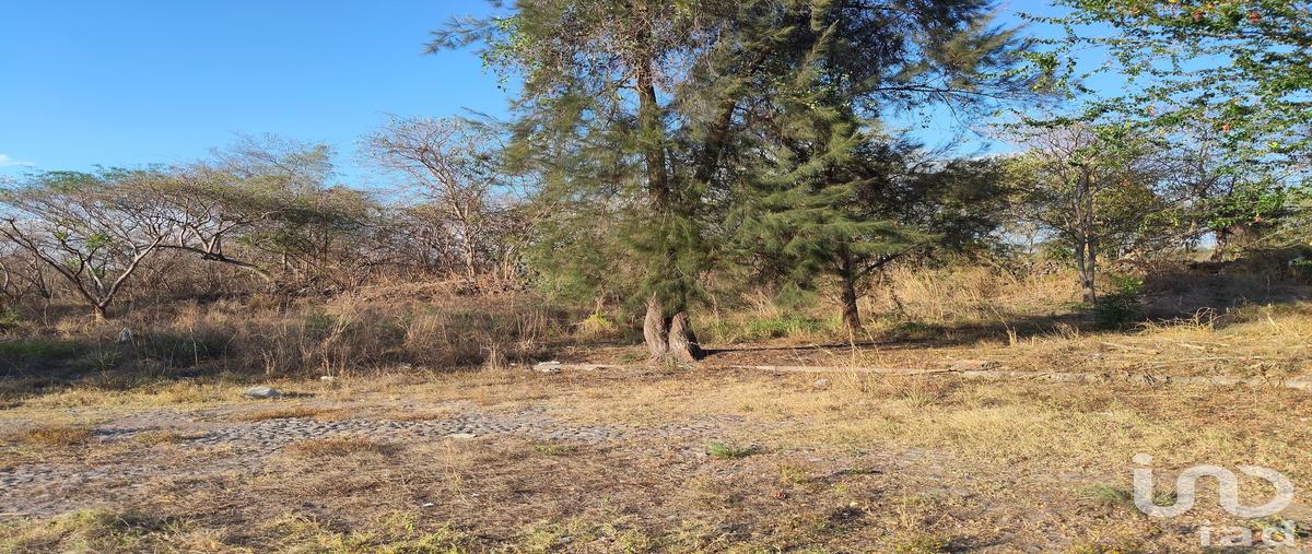 Foto de terreno habitacional en venta en rosa ramona ortega , campestre comala, comala, colima, 31038157 No. 05