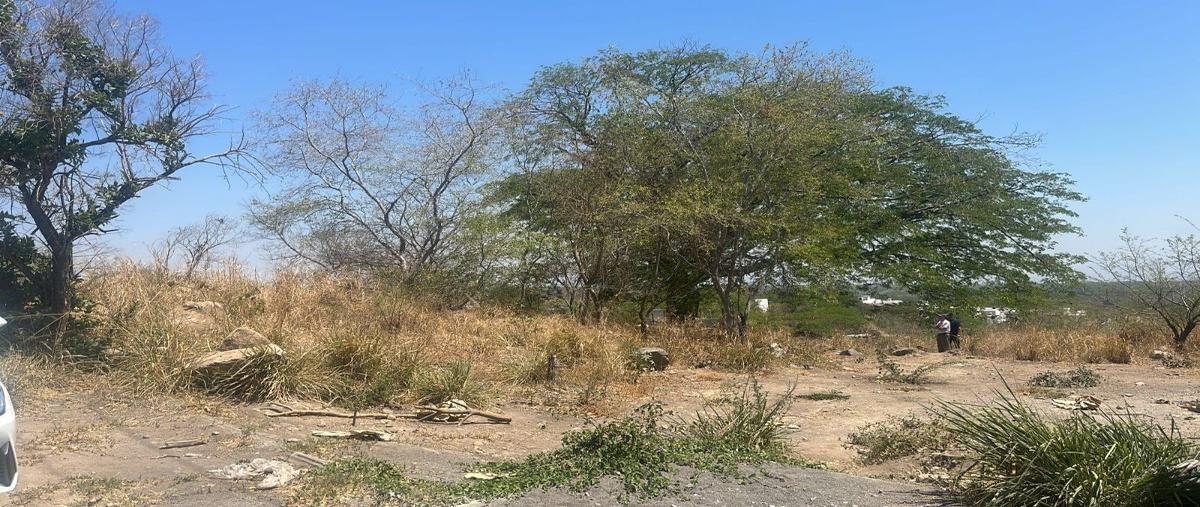 Foto de terreno habitacional en venta en rosa ramona ortega san , comala, comala, colima, 0 No. 03