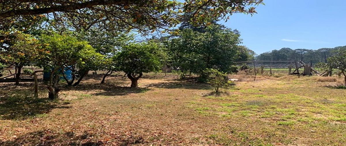 Foto de terreno habitacional en venta en rosalio lópez , santa catarina, uruapan, michoacán de ocampo, 29790023 No. 03