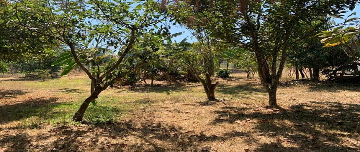 Foto de terreno habitacional en venta en rosalio lópez , santa catarina, uruapan, michoacán de ocampo, 29790023 No. 05