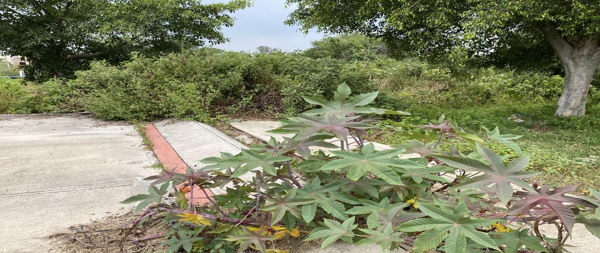Foto de terreno habitacional en venta en rosario castellanos , bosques de la rivera, la barca, jalisco, 30223525 No. 04