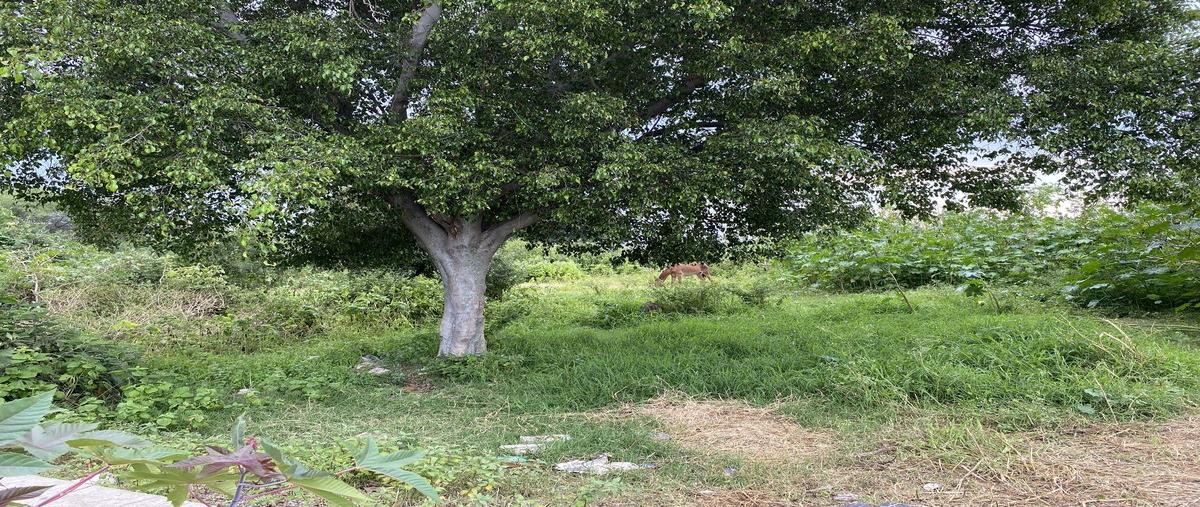 Foto de terreno habitacional en venta en rosario castellanos , bosques de la rivera, la barca, jalisco, 30223525 No. 05