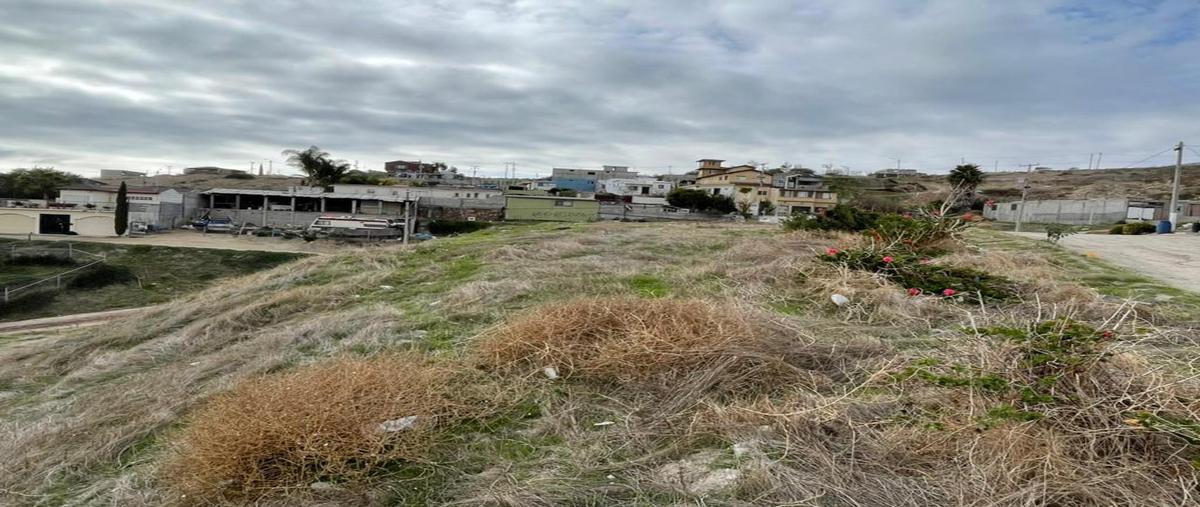 Foto de terreno habitacional en venta en  , rosarito, playas de rosarito, baja california, 19947502 No. 04