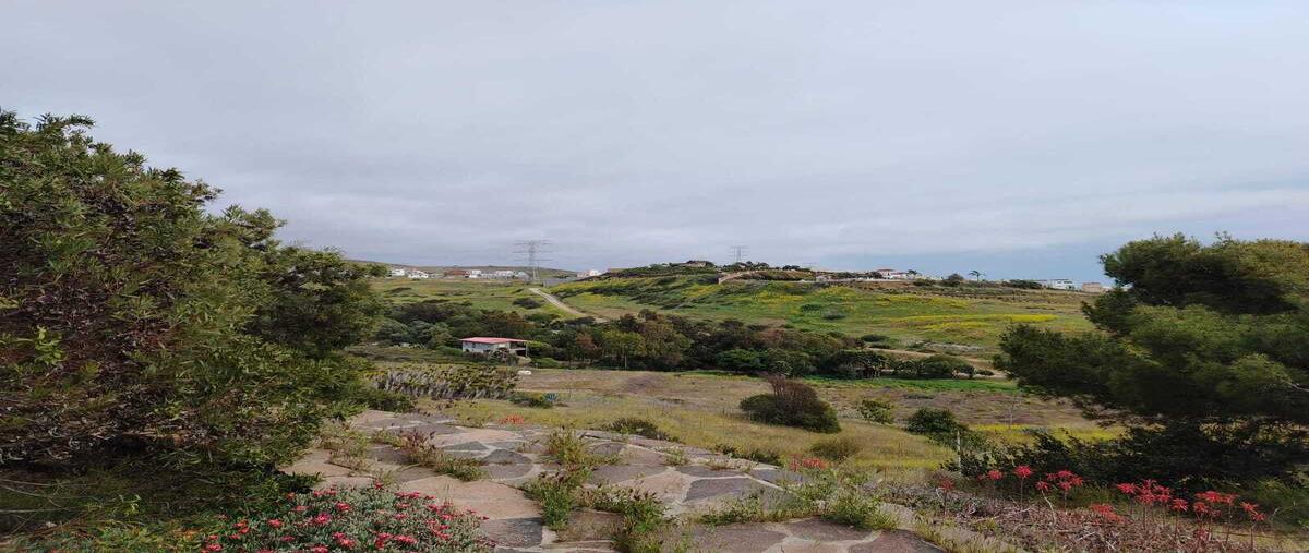 Foto de rancho en venta en  , rosarito, playas de rosarito, baja california, 30046412 No. 03