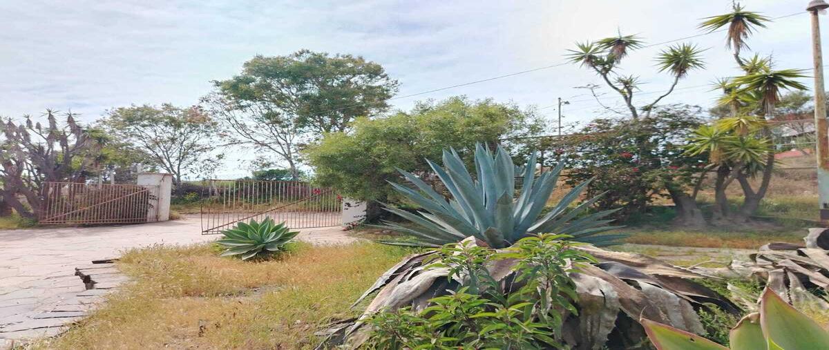 Foto de rancho en venta en  , rosarito, playas de rosarito, baja california, 30046412 No. 05