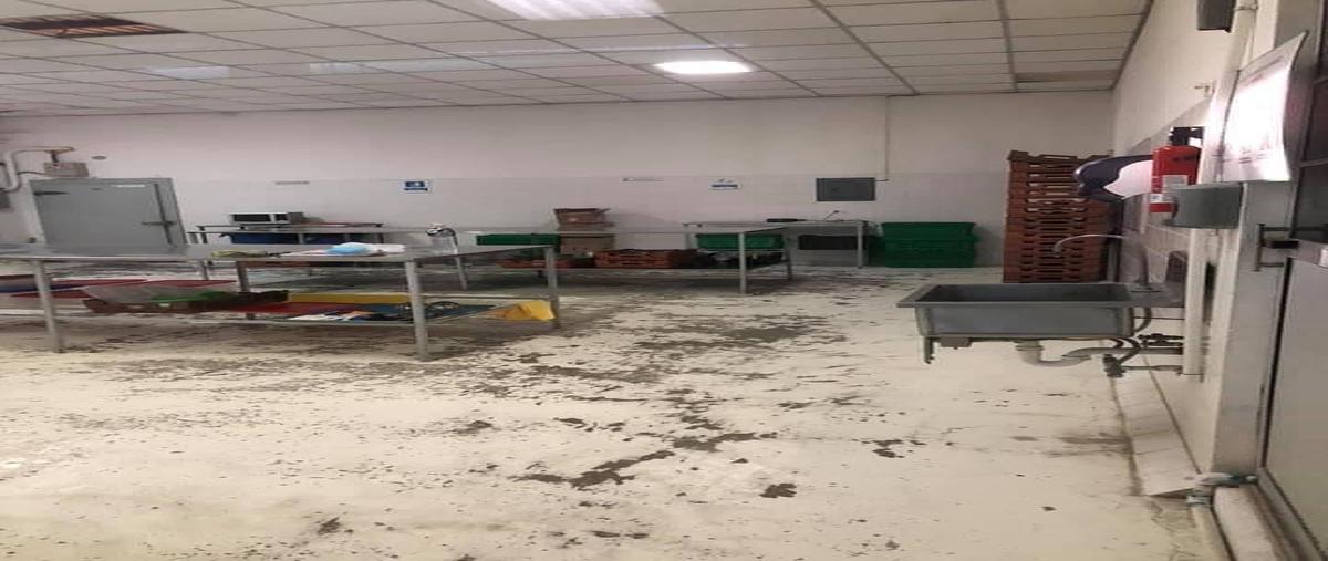 Foto de bodega en renta en rosaura zapara , guadalupe victoria, la paz, baja california sur, 30978245 No. 05