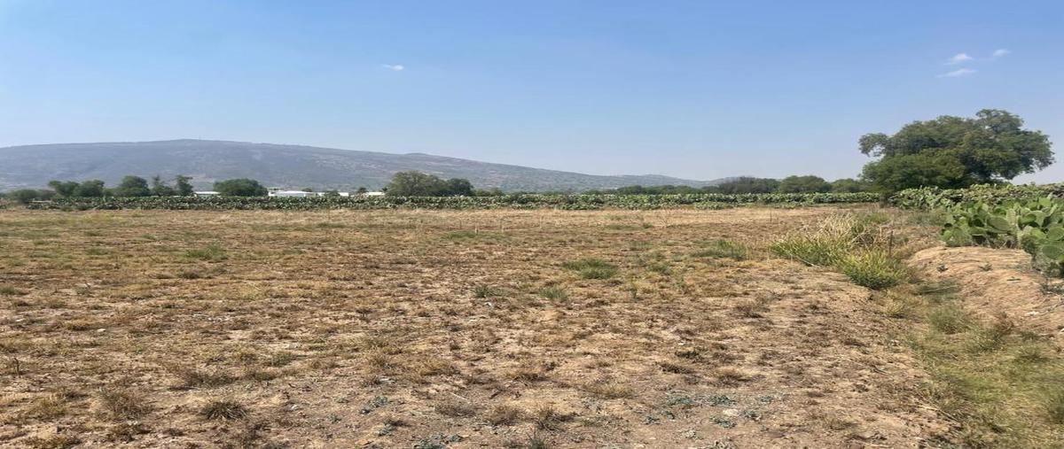 Foto de terreno comercial en venta en rosendo arnaiz 15, san martín, san martín de las pirámides, méxico, 0 No. 04