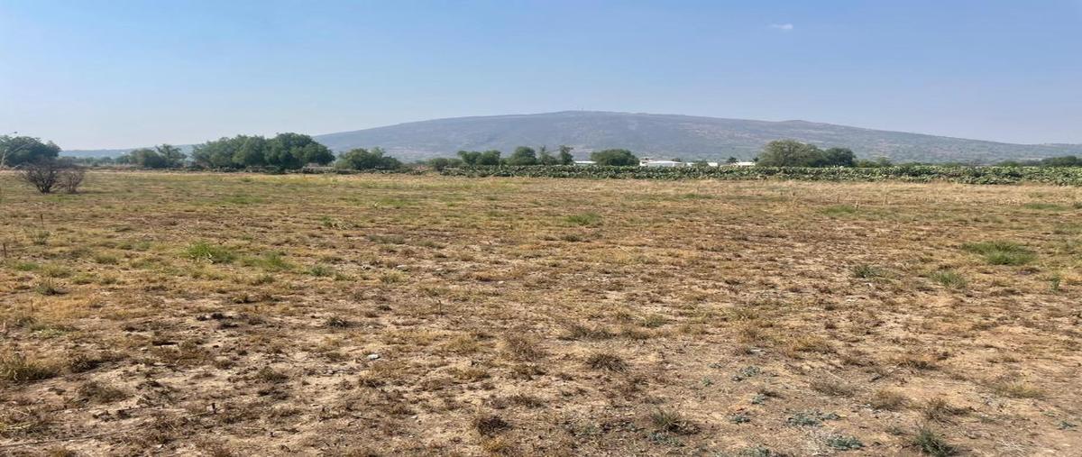 Foto de terreno comercial en venta en rosendo arnaiz 15, san martín, san martín de las pirámides, méxico, 0 No. 05