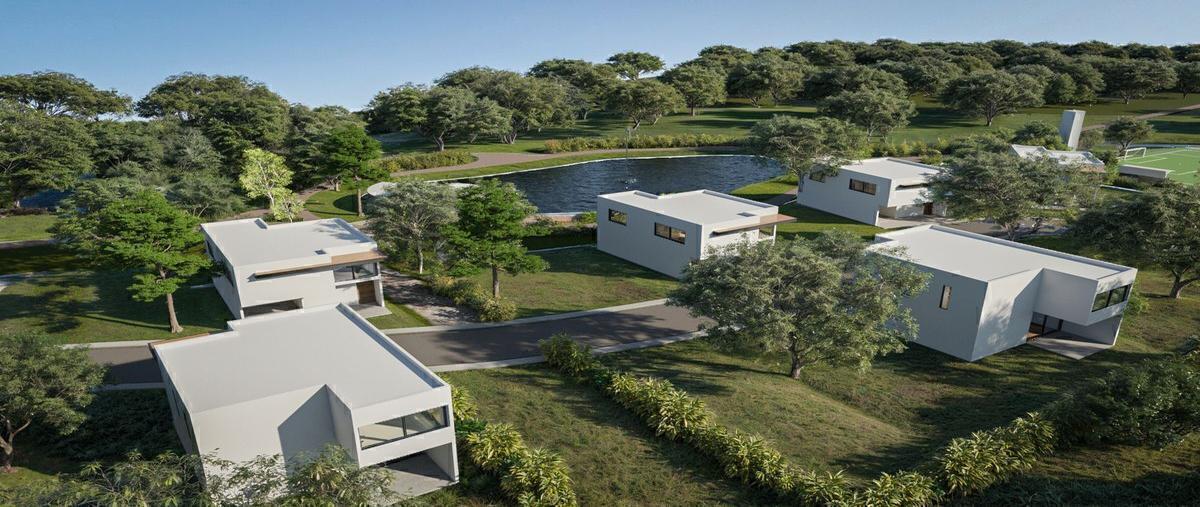 Foto de terreno habitacional en venta en rosio , cabo norte, mérida, yucatán, 30497168 No. 03