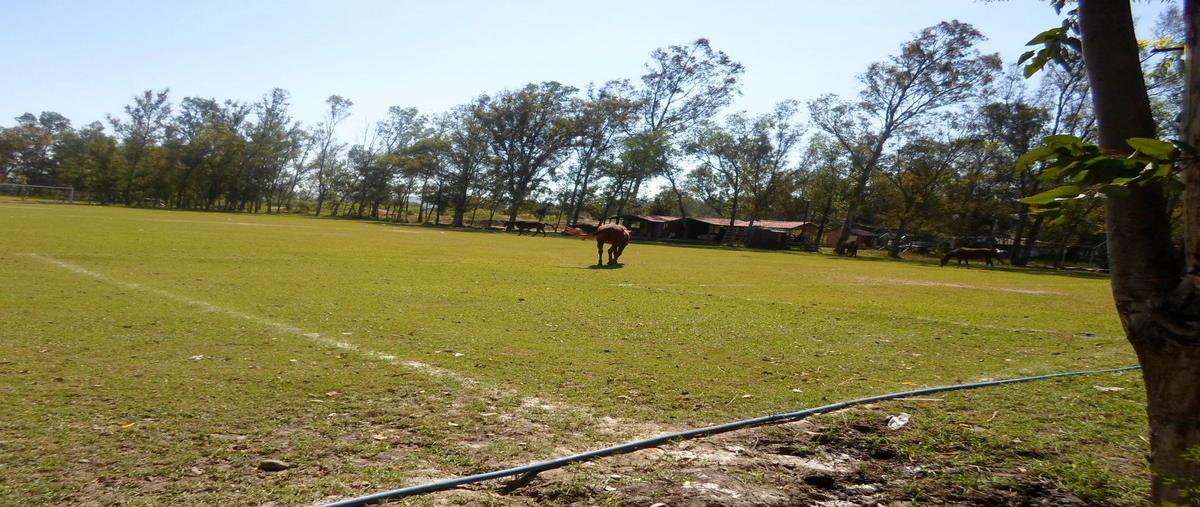 Foto de terreno habitacional en venta en ruben casillas , solidaridad, san pedro tlaquepaque, jalisco, 10645161 No. 02