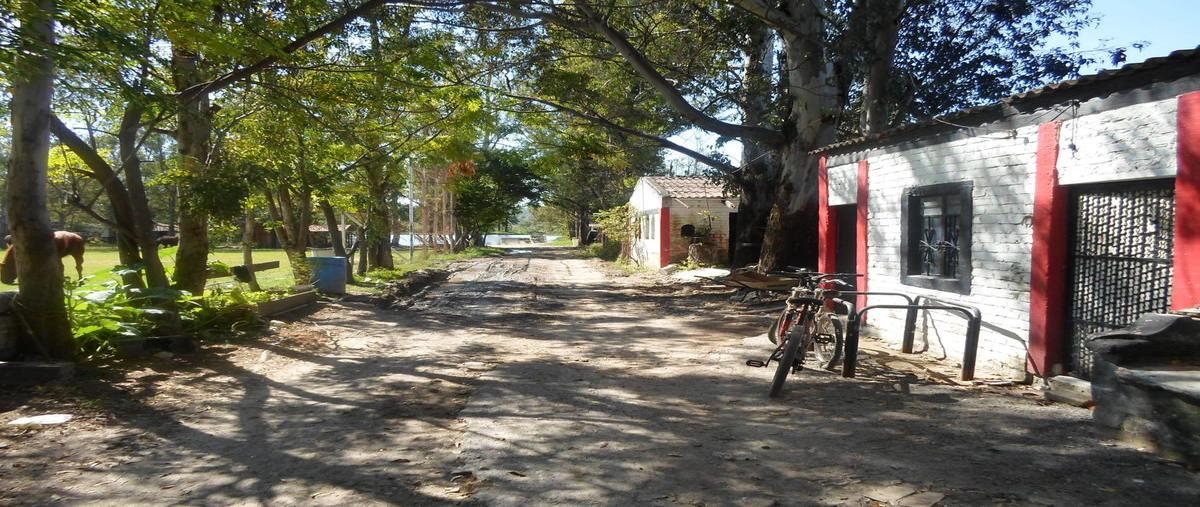 Foto de terreno habitacional en venta en ruben casillas , solidaridad, san pedro tlaquepaque, jalisco, 10645161 No. 03