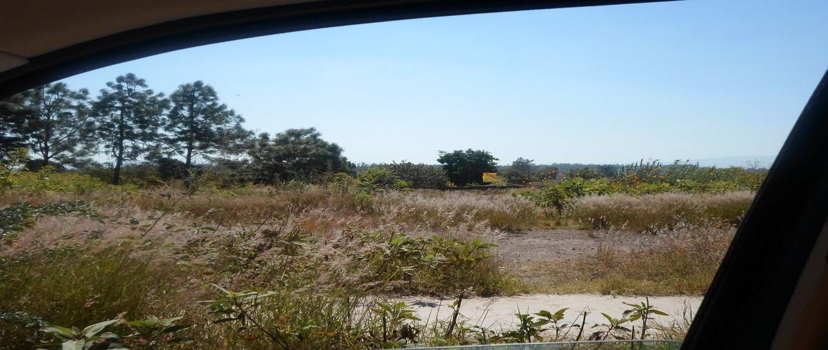 Foto de terreno habitacional en venta en ruben casillas , solidaridad, san pedro tlaquepaque, jalisco, 10645161 No. 05