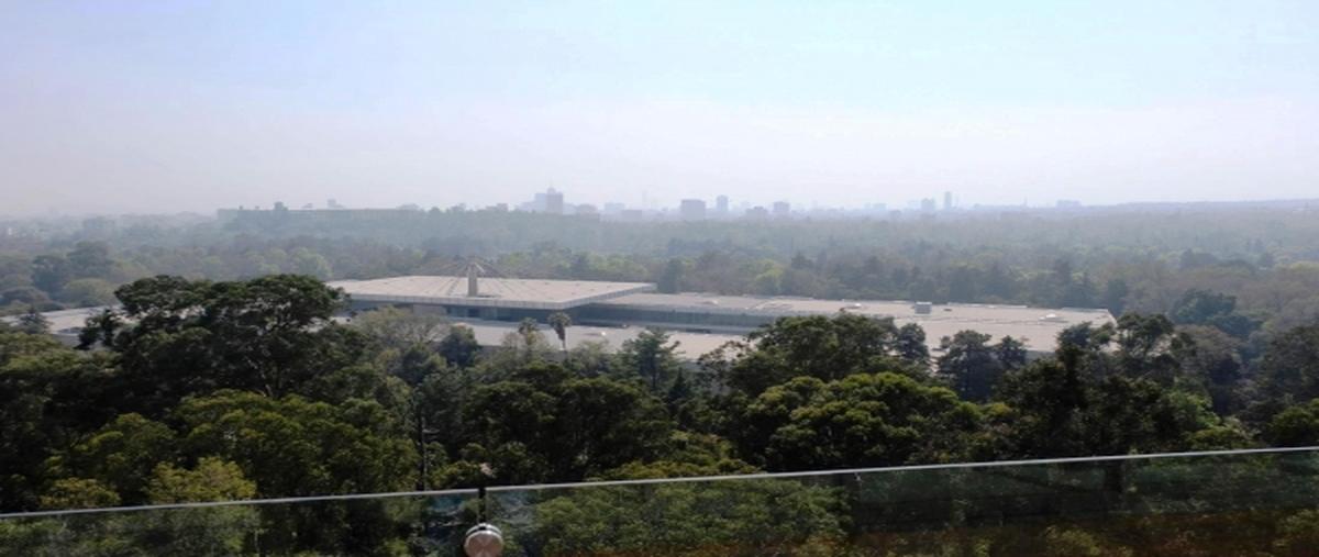 Foto de departamento en venta en rubén darío , bosque de chapultepec i sección, miguel hidalgo, df / cdmx, 25845654 No. 06