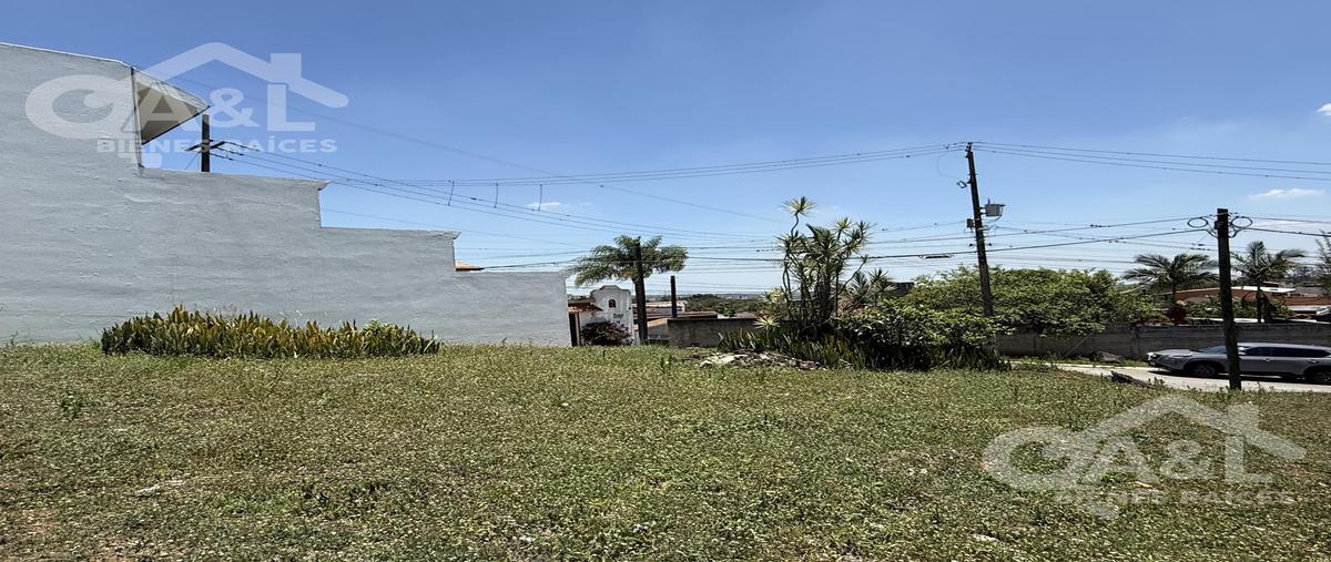 Foto de terreno habitacional en venta en  , rubí ánimas, xalapa, veracruz de ignacio de la llave, 31107842 No. 05