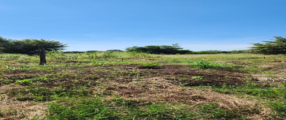 Foto de rancho en venta en rustico , la colonia (estación colonias), altamira, tamaulipas, 28808029 No. 05